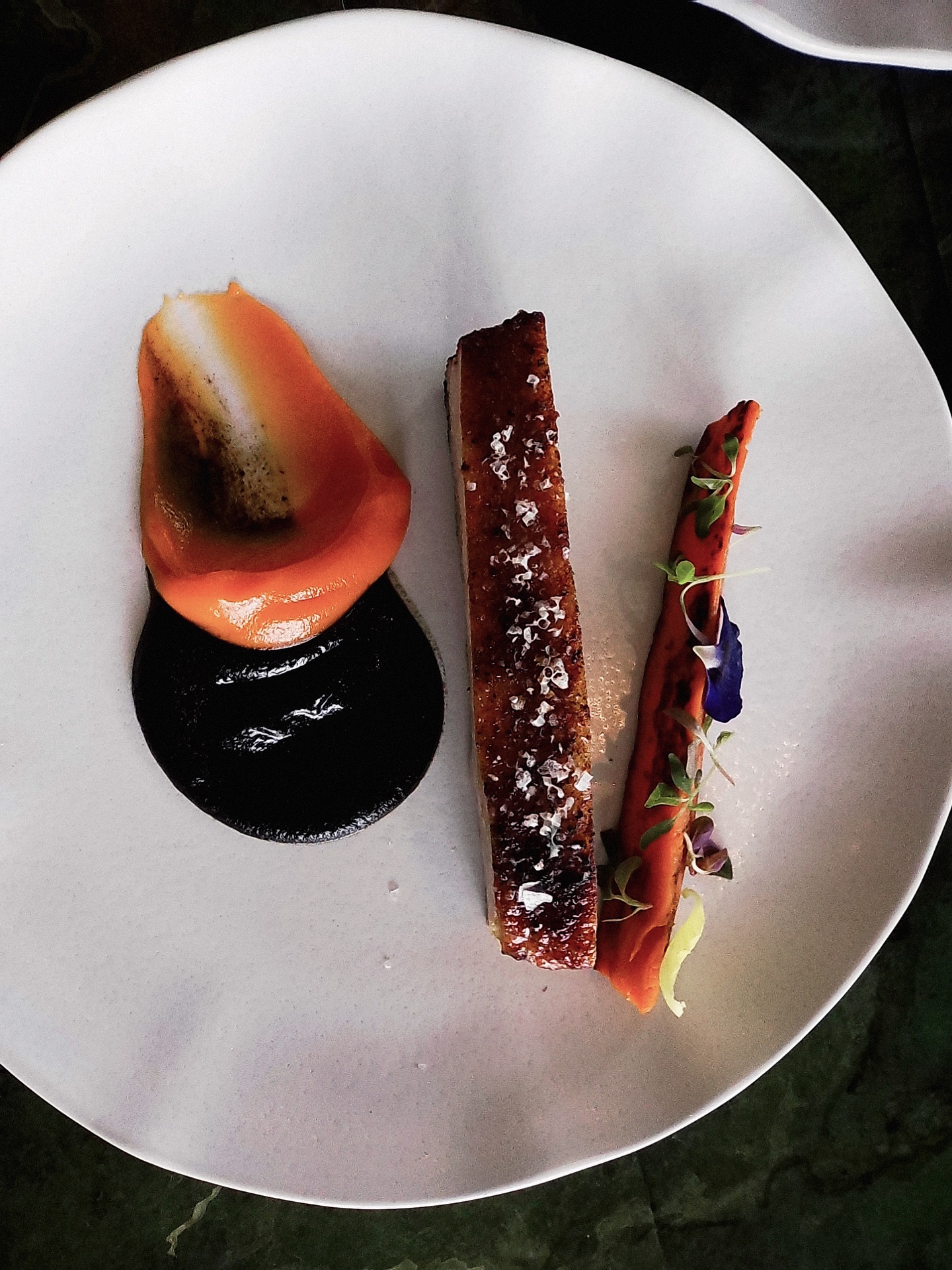 Platillo emplatado con mole negro y puré de zanahoria